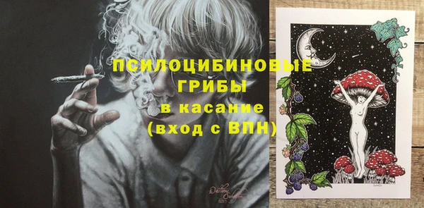 а пвп мука Абаза