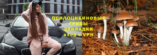 винт Абинск