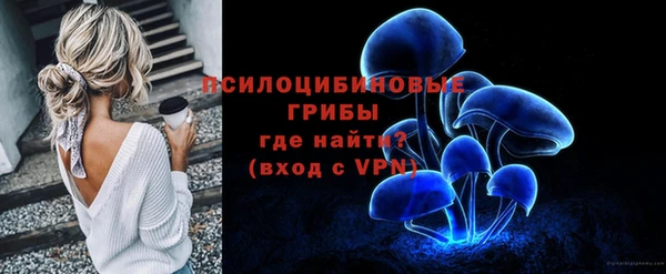 а пвп мука Абаза
