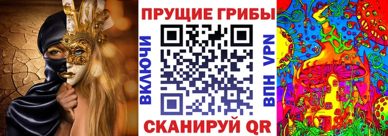 Галлюциногенные грибы прущие грибы  Куровское 